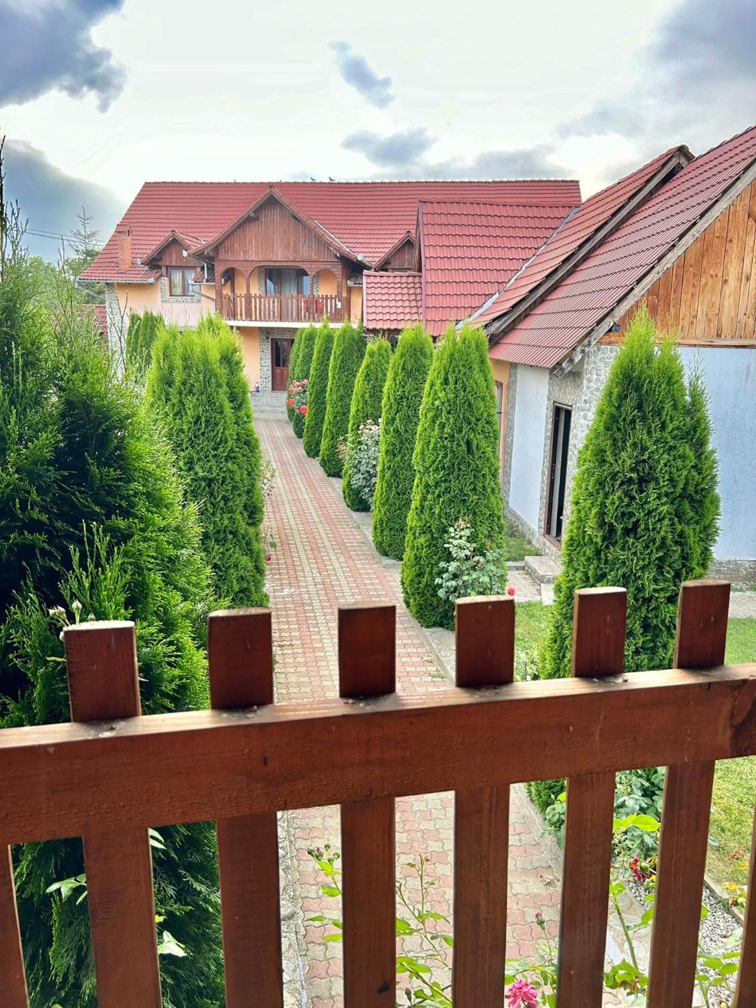 Pensiunea Casa Nina Cîrţişoara المظهر الخارجي الصورة