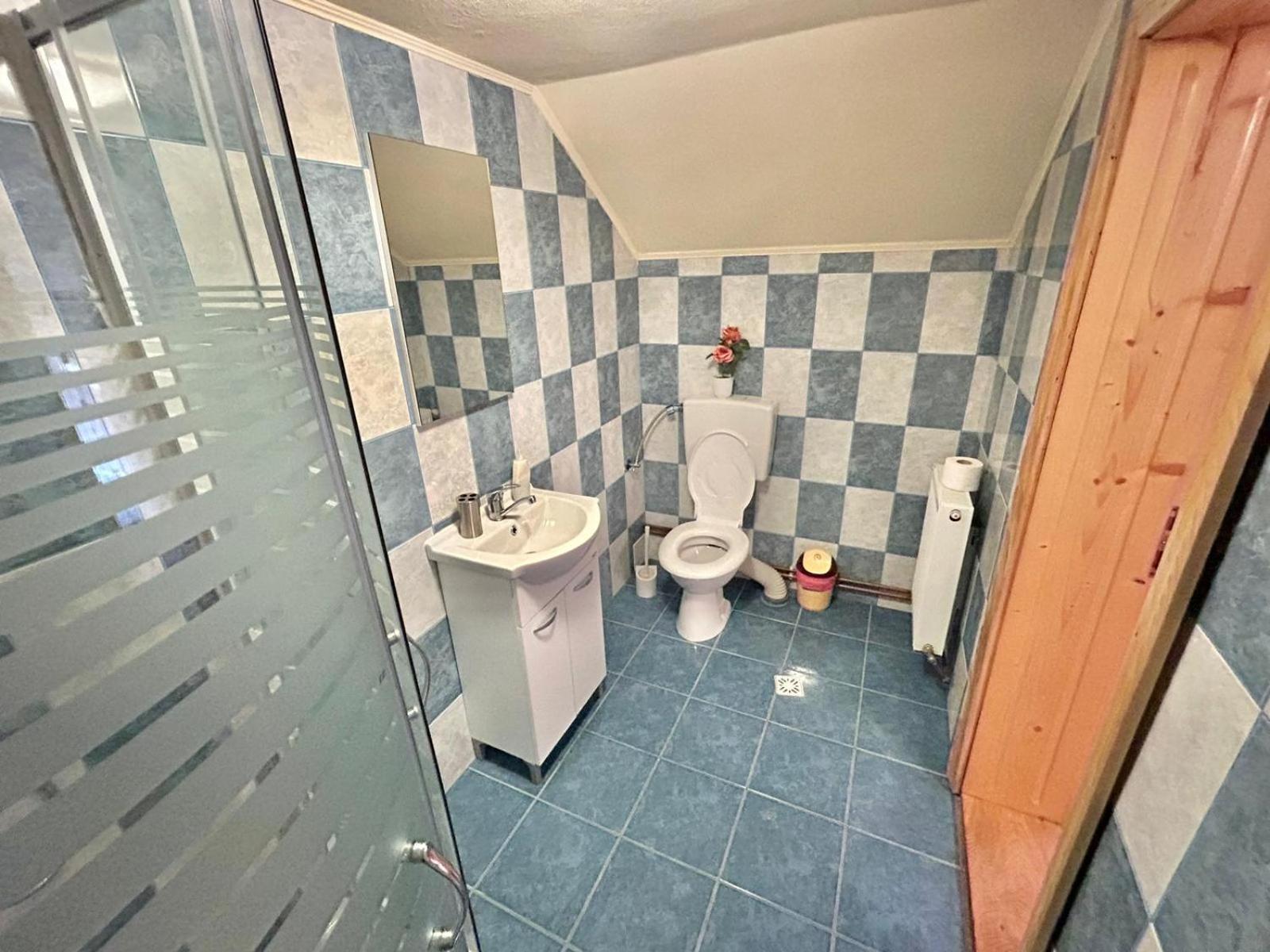 Pensiunea Casa Nina Cîrţişoara الغرفة الصورة