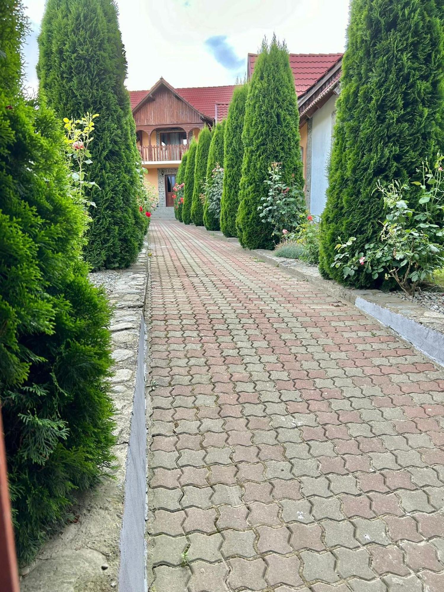 Pensiunea Casa Nina Cîrţişoara المظهر الخارجي الصورة