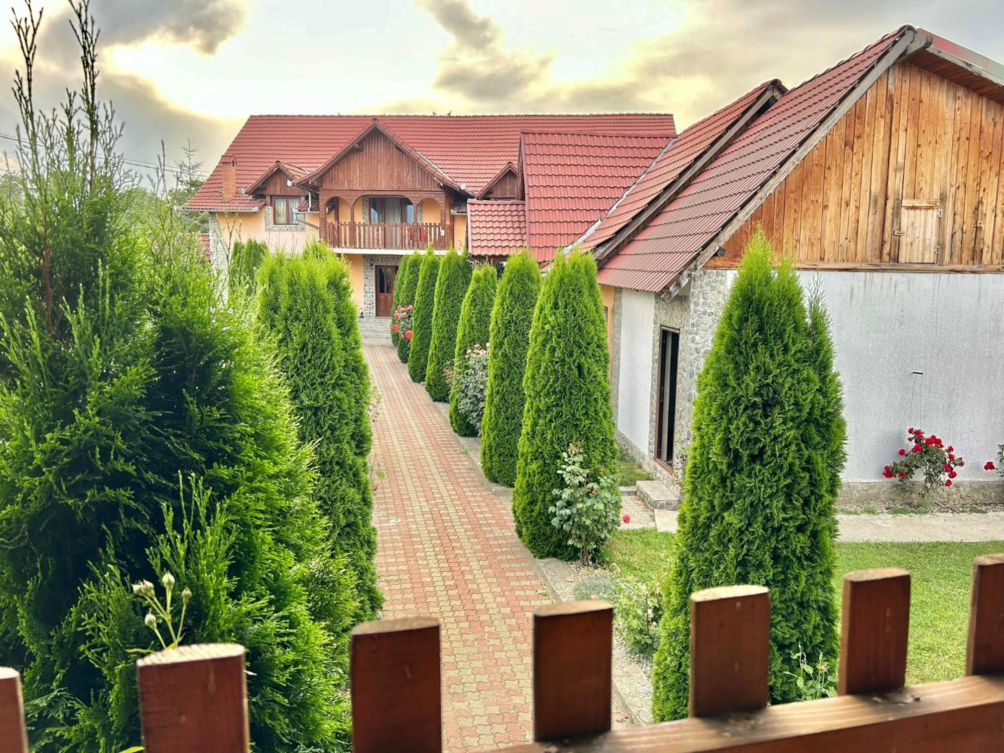 Pensiunea Casa Nina Cîrţişoara المظهر الخارجي الصورة