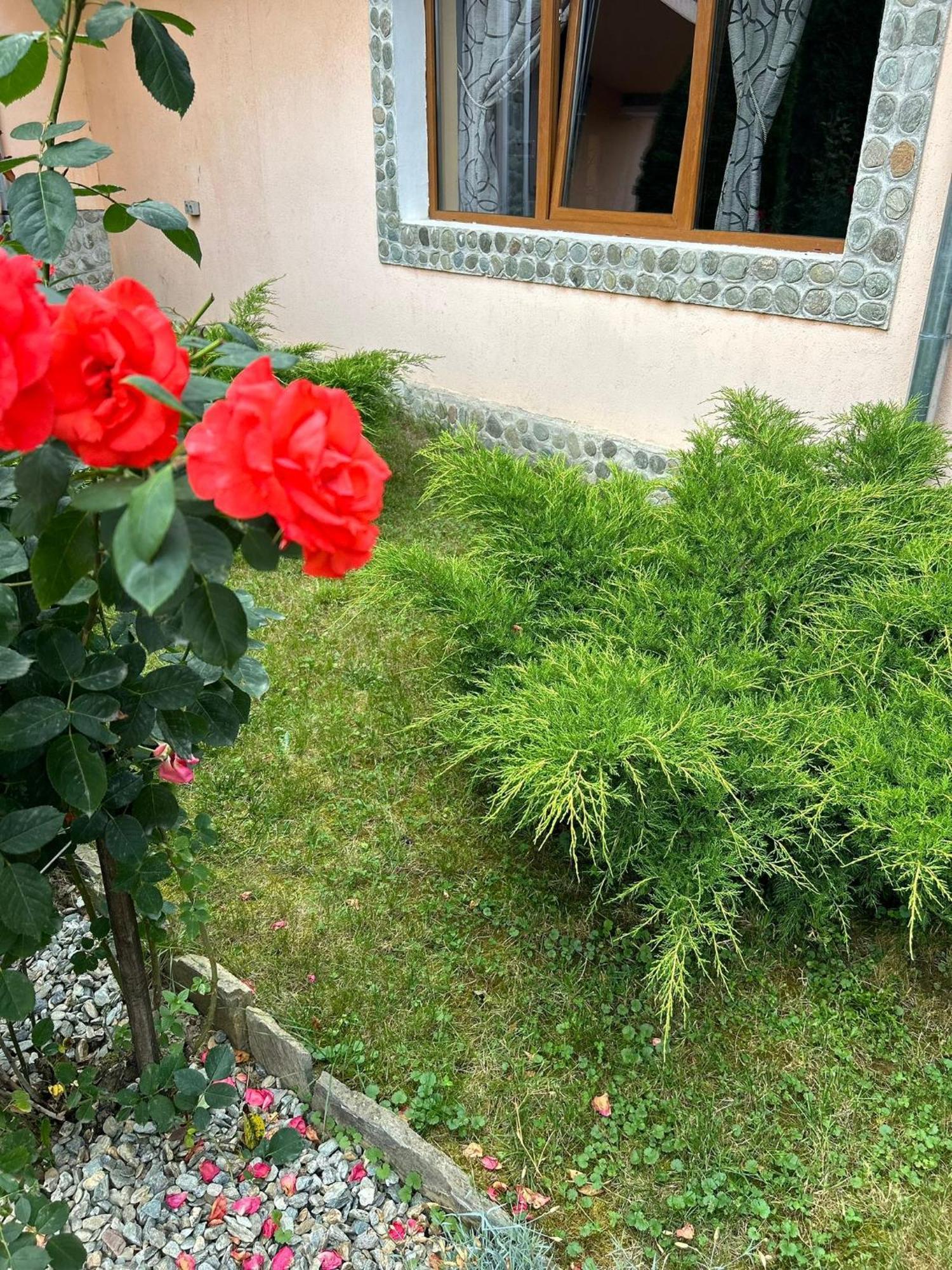 Pensiunea Casa Nina Cîrţişoara المظهر الخارجي الصورة
