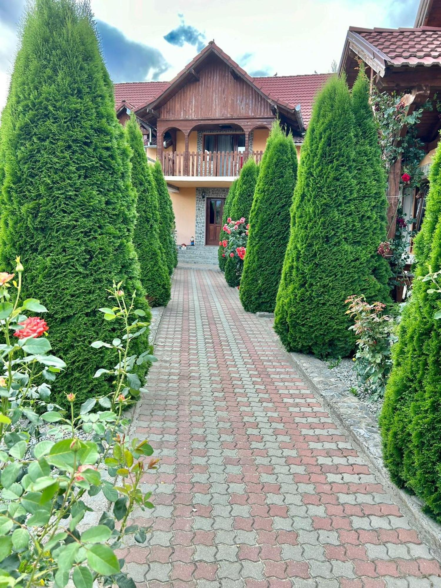 Pensiunea Casa Nina Cîrţişoara المظهر الخارجي الصورة