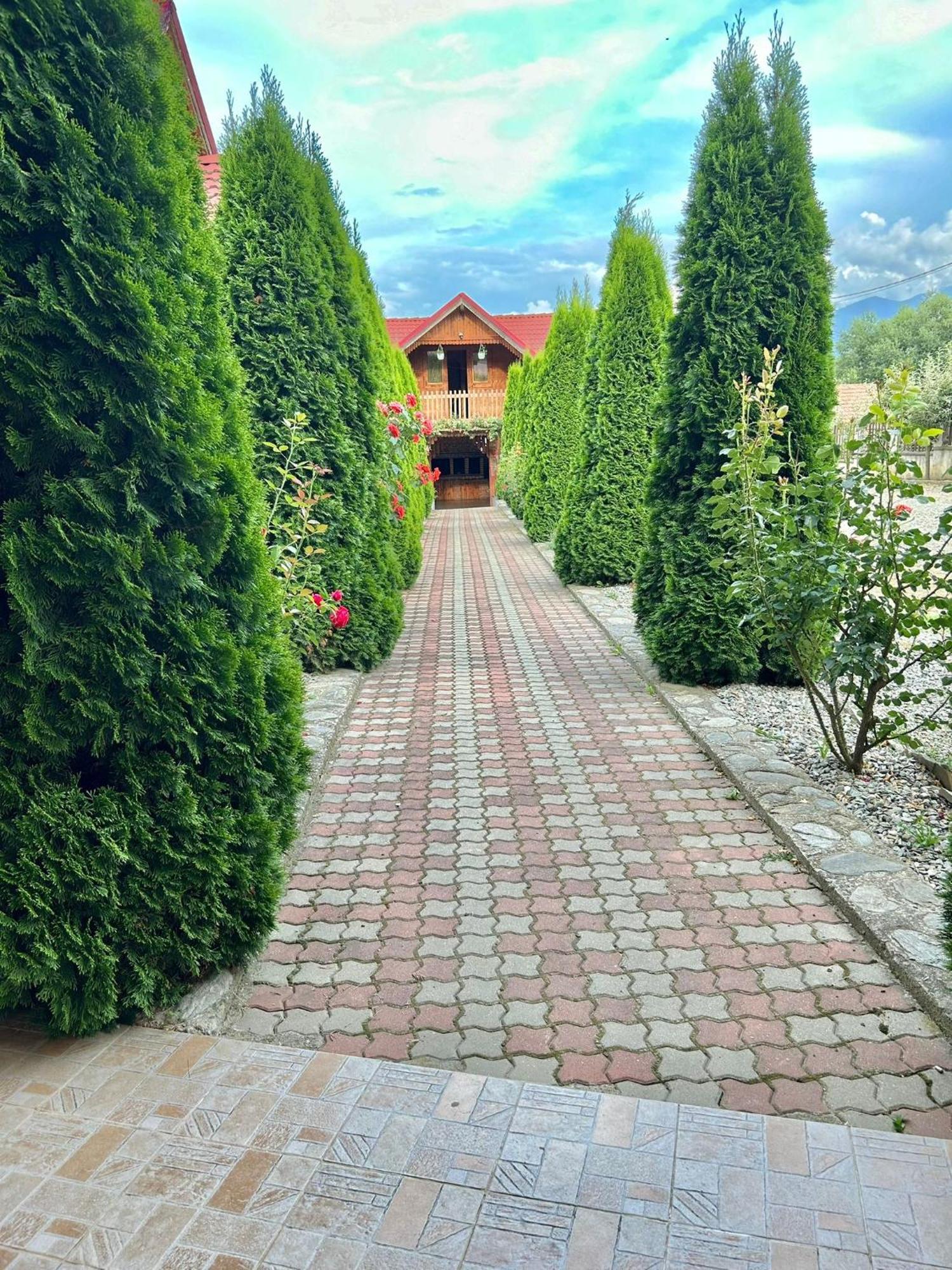 Pensiunea Casa Nina Cîrţişoara المظهر الخارجي الصورة